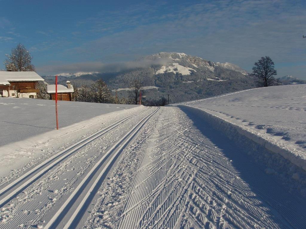 Ferienwohnungen Salvenmoser Johanna Scheffau am Wilden Kaiser Exteriör bild