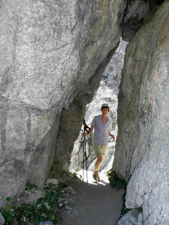 Ferienwohnungen Salvenmoser Johanna Scheffau am Wilden Kaiser Exteriör bild