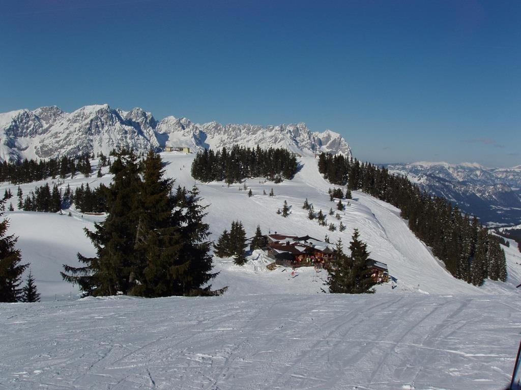Ferienwohnungen Salvenmoser Johanna Scheffau am Wilden Kaiser Exteriör bild