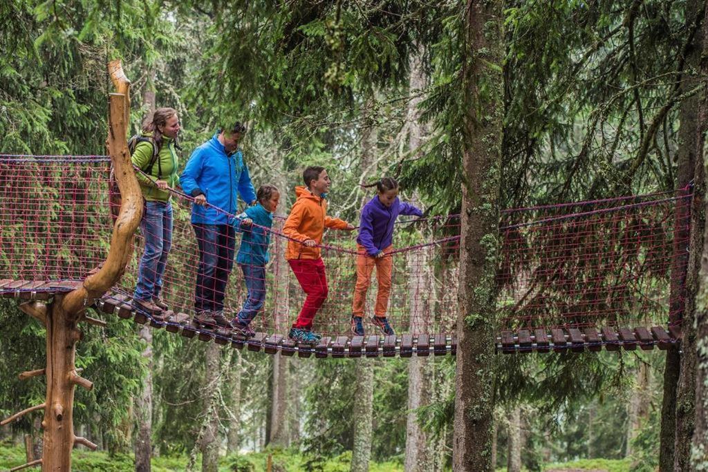 Ferienwohnungen Salvenmoser Johanna Scheffau am Wilden Kaiser Exteriör bild